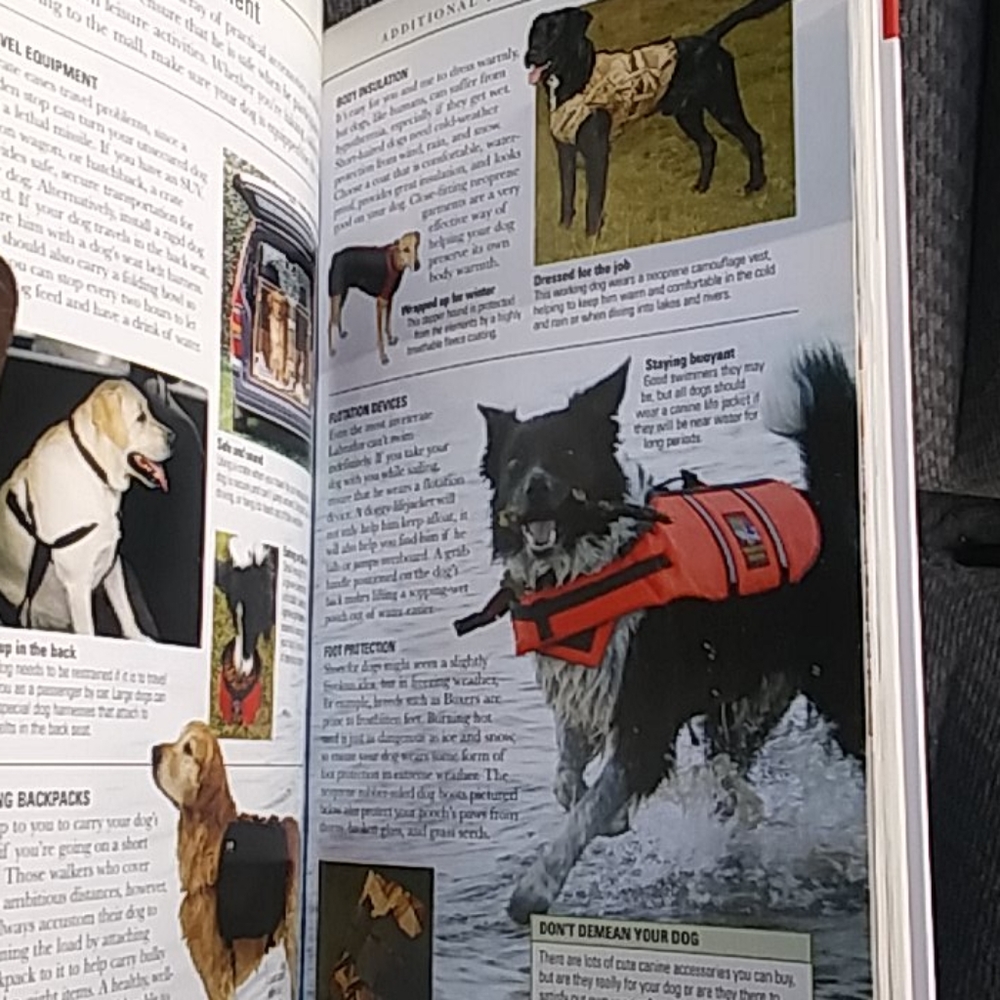 Dogs book - Picture 4 of 4